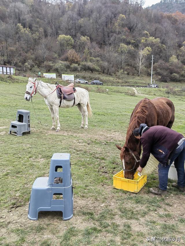 秦岭狮子沟牧场&牛奶湖
