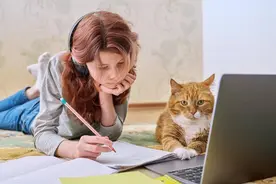 养猫要不要给猫绝育？这里有一份全面详细的说明书！图片