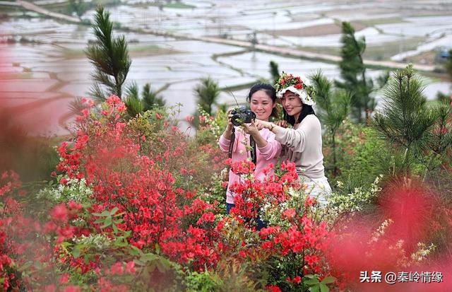 两性关系，夫妻越是喜欢分房睡，越是说明这三点。一定要重视！