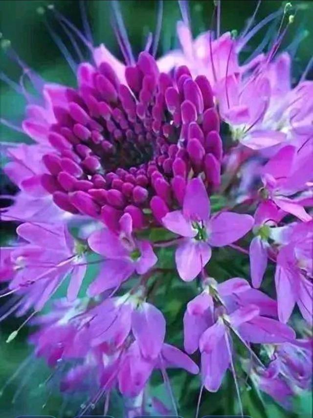 爱是放下输赢的凝视