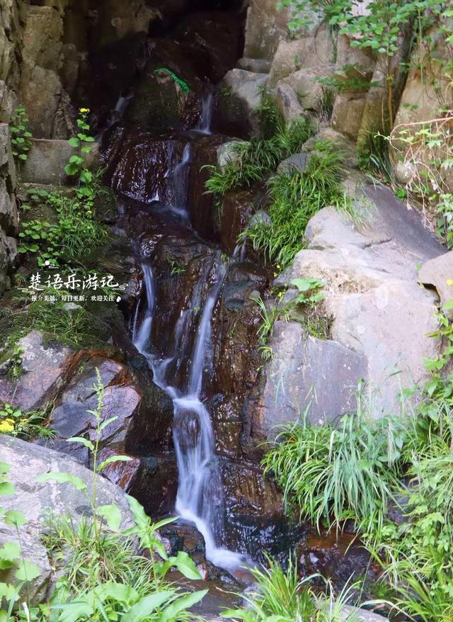 浙江宁波的竹林双古道，被誉为治愈系徒步胜地，景色宜人值得游玩