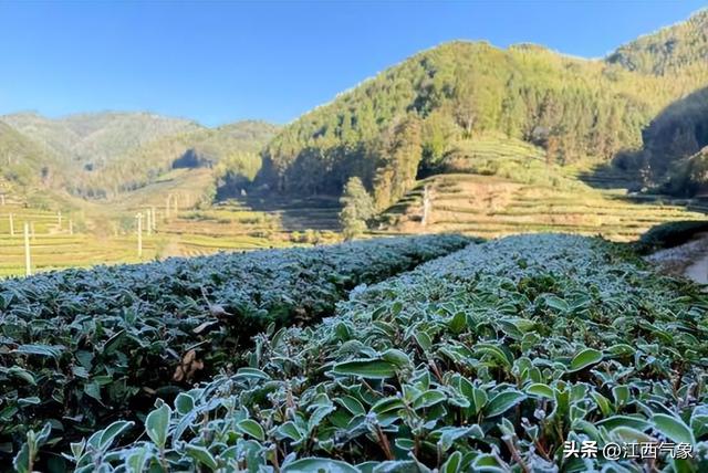 【玩转气候密码】一秒get江西冬日的气象魔法！