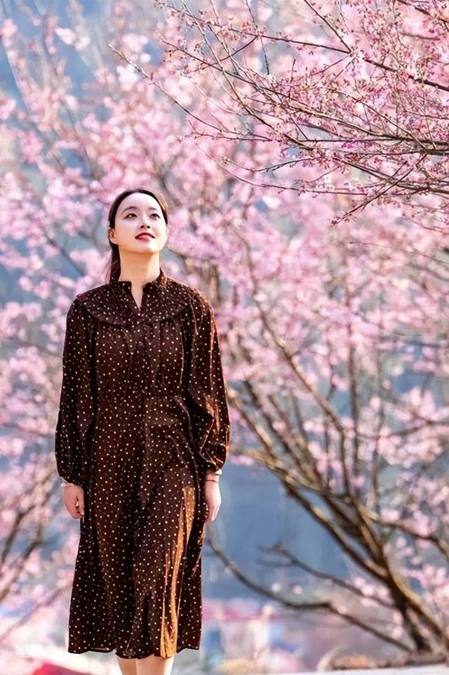 门票不限量免费送！明月山花海原居2月1日开园，解锁樱花美景+免票攻略+玩法指南！