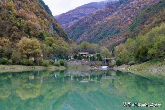 秋辞官鹅：一季斑斓入岁华