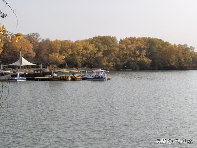 2025环南疆沙漠铁路背包自由行日记(4)——游览泽普金湖杨景区