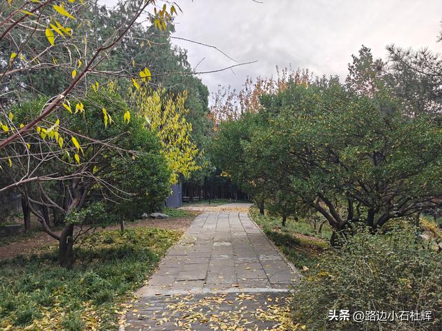 从童年嬉闹到诗意园林——一个北京土著的北海公园记忆