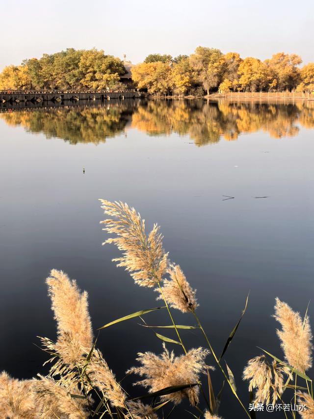 2025环南疆沙漠铁路背包自由行日记(6)---游览巴楚红海胡杨林景区