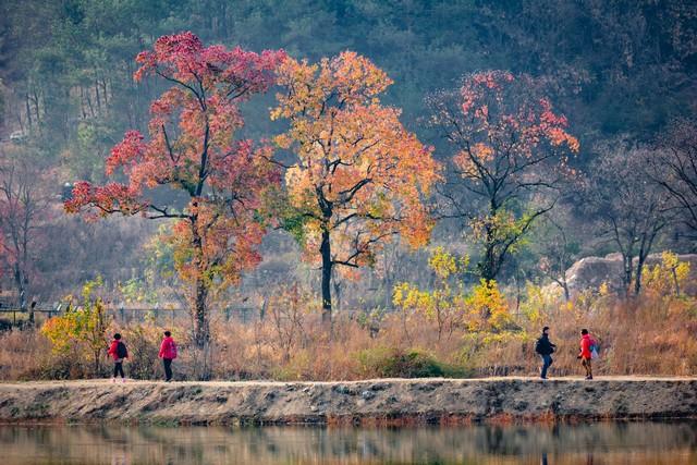 霜降罗田，邂逅中国最美红叶！大别山秋日摄影全攻略