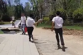 业主被保安拿砖头追着打后续：物业协助调查！保安停职？评论炸锅图片