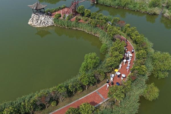 华媒打卡中国陕西洽川：黄河流域最大湿地，双轮促发展