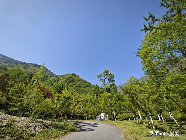 理小路环线今日风景！