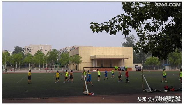 山东行游影记（17）—济南山东大学（四）