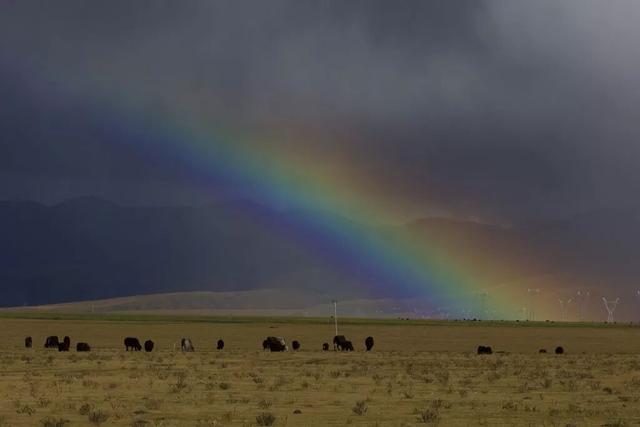 穿越阿里，才算真正到过西藏！万山之祖与百川之源在此相遇。