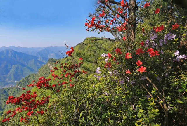 25℃的清凉！山林秘境、峡谷漂流......重庆周边消夏避暑4日游攻略