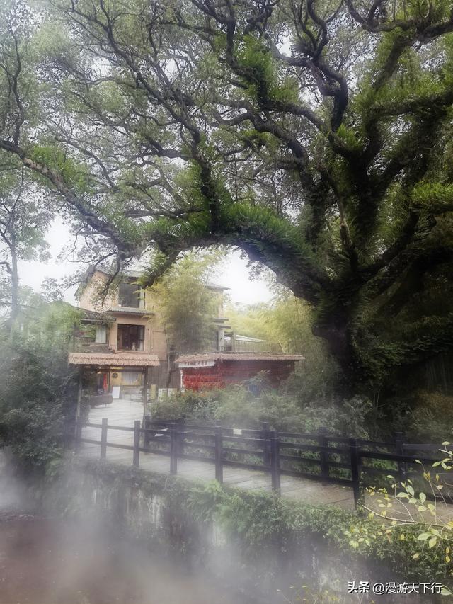 丽水古堰画乡景区没有想象中的那么优秀，去不去皆遗憾