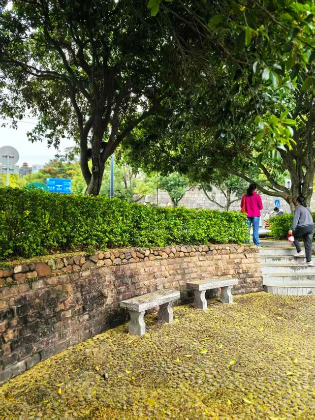 桂林：最是初冬晴午后！