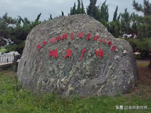 我在微山湖湿地‖胡成江