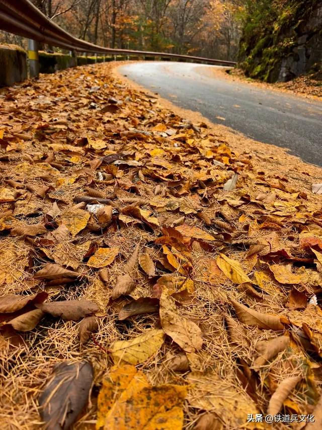 车过神农架【原创】作者:原铁十师陶玉和