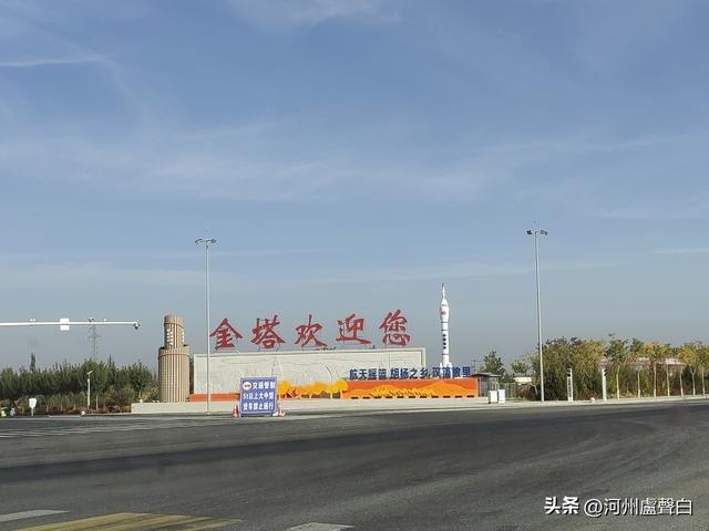 金塔胡杨林