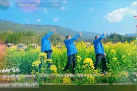 文旅干部认领“王心凌男孩”，油菜花田跳舞带小县城出圈图片