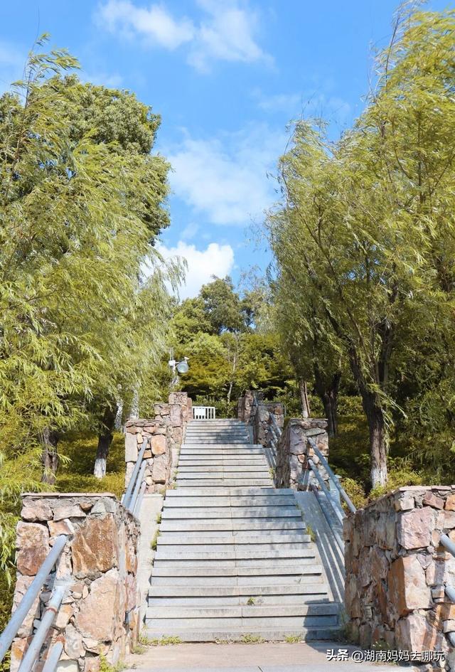 30分钟登顶！长沙私藏小众徒步路线，一站解锁遛娃顶“尖”玩法