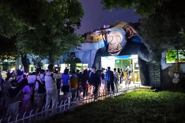 好玩又益智，假期遛娃看这条就够了！