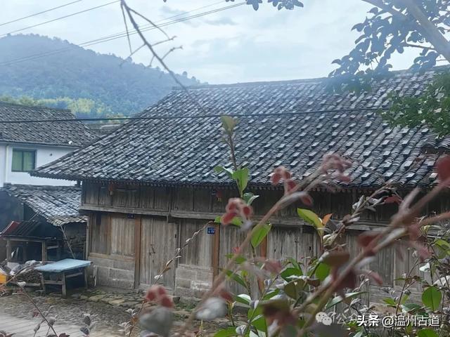 藏在浙南九寨沟里的红色秘境!可亲子徒步,在清溪飞瀑里寻凉意!
