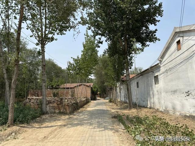 冠县乡韵·柳林镇三里屯村