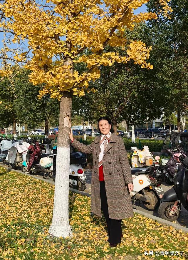 盘龙悠远银杏黄 水中学友情谊长