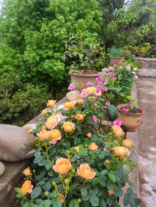 男人到了60岁，如果还能占到以下5条，绝对是人生赢家