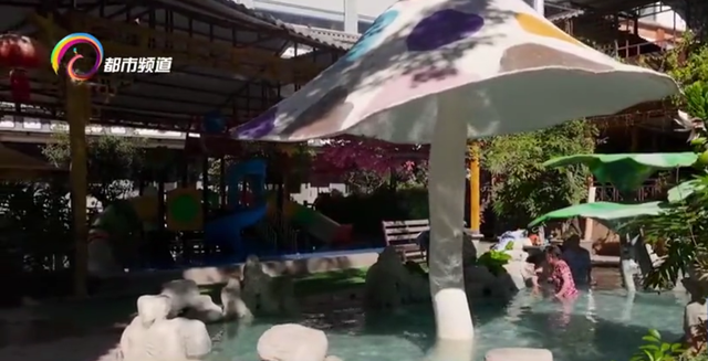 云南避寒游升温 旅居暖冬受欢迎