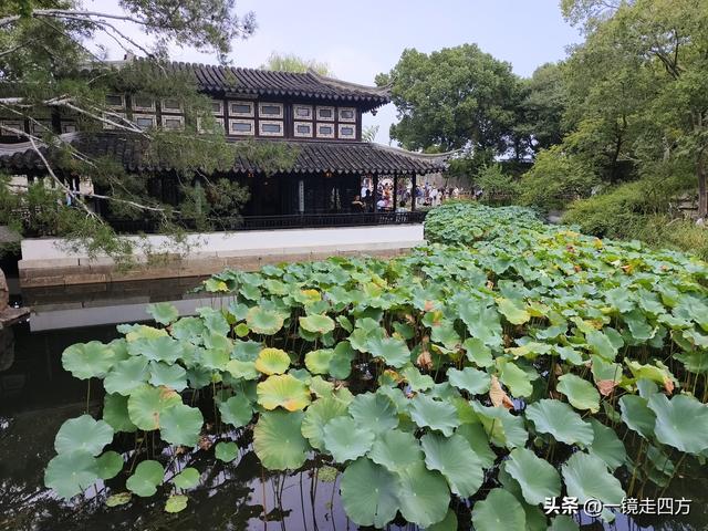临近国庆，在还很闷热的天气里，游览市内现存最大的园林拙政园