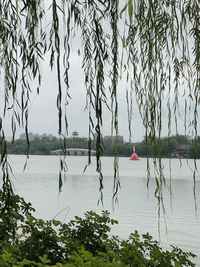 天津小雨中的《水上公园》