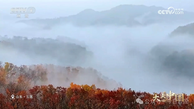 五莲上央视了！