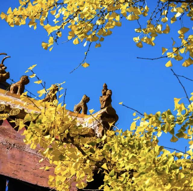 跟着书圣游临沂 | “墨韵兰山”一日游线路——书法文化精髓体验