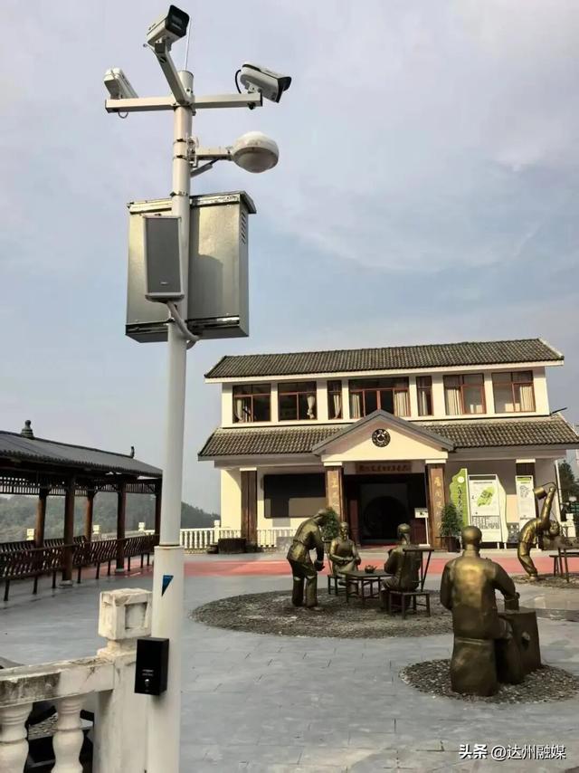 好一片“绿茶”！被达州大竹这片万亩茶海治愈了