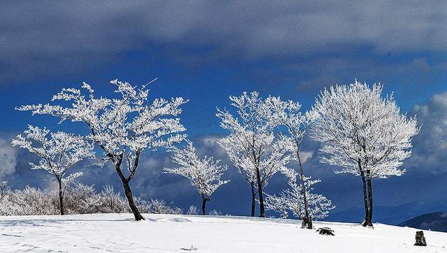 初雪的四方山：雾凇遍野 琼枝满山