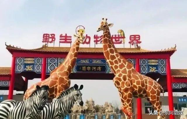 古人靠漕运文书通关，今天你的 “聊城文牒” 缺哪一站？（下）