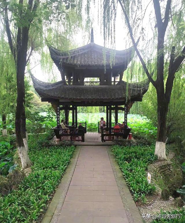 成都最出名的桂花观赏地，超级低调，桂香四溢，地铁公交车直达！