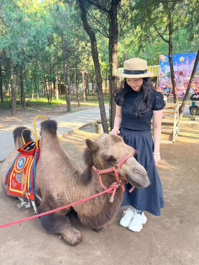 冬日遛娃无需远行,来紫谷萌宠乐园解锁超多趣味玩法!