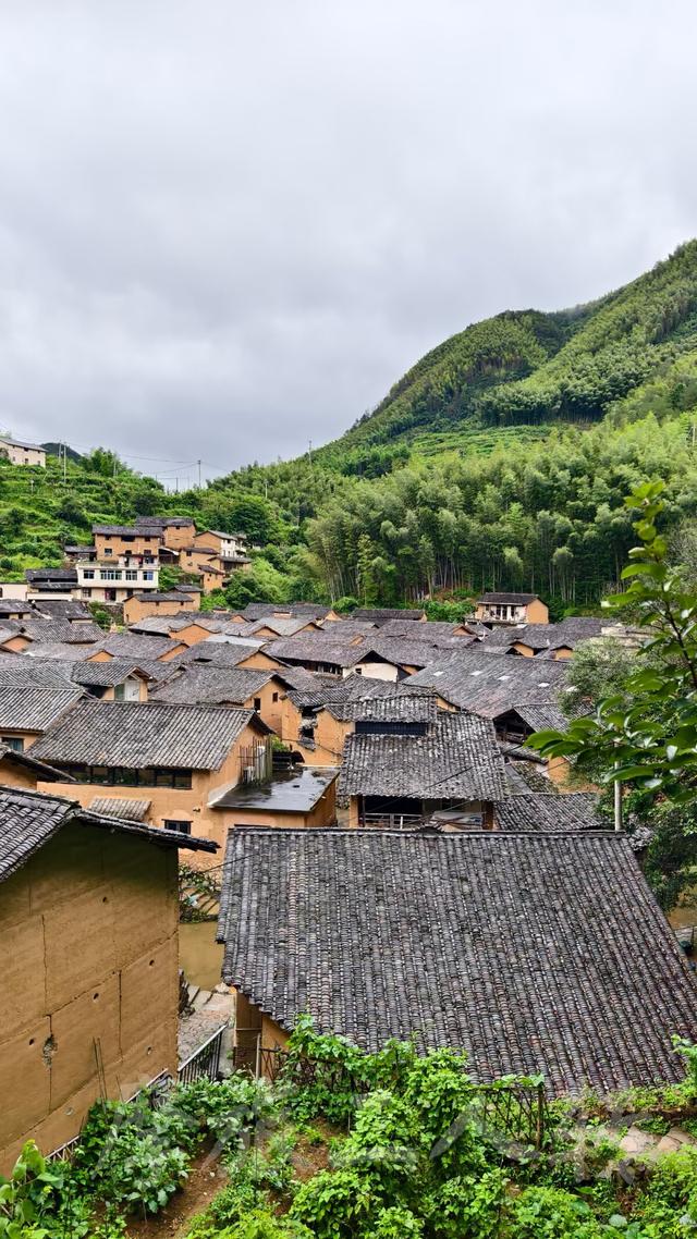 皖浙摩旅二人转——松阳松庄村篇