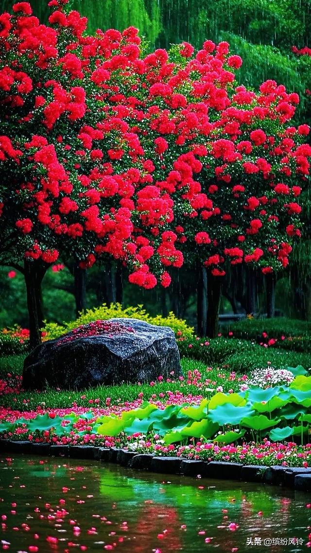 雨落芳华，打湿青石板路