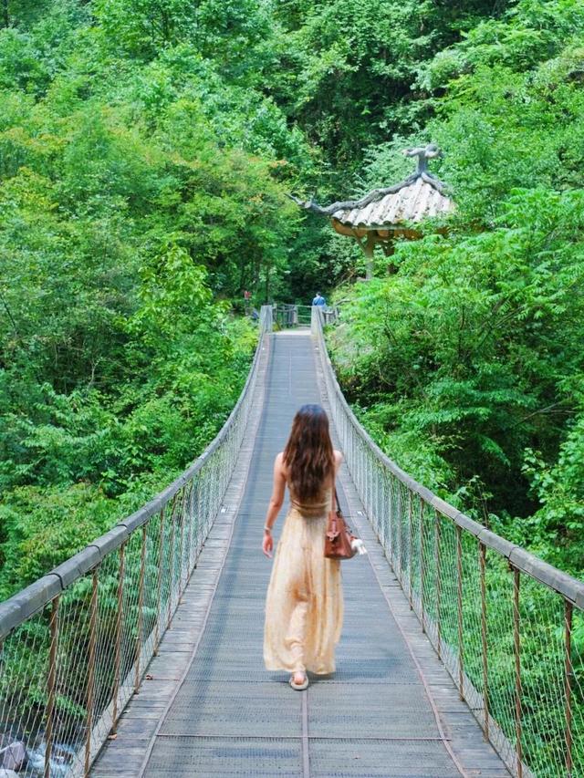 暂别川西！乐山黑竹沟已经美到神仙级！