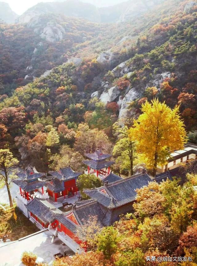 【乐游烟台】正式宣布！下一轮降温前，烟台人该……