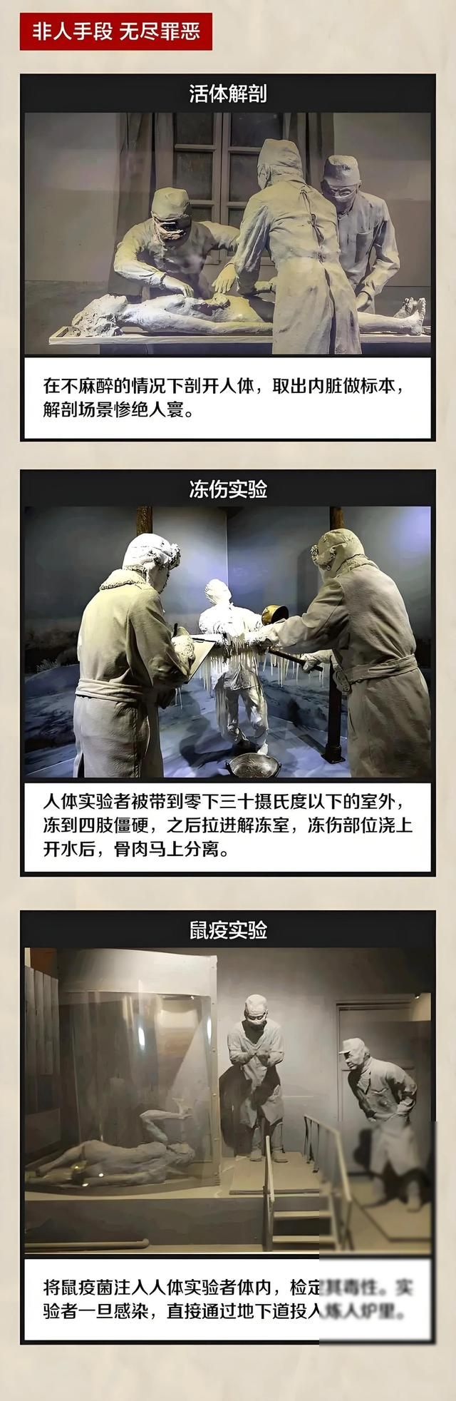 反华势力出手？央媒力荐红片被迫下架，举报者公开挑衅，正脸曝光