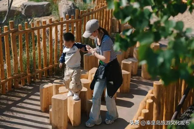 当旅游成为情感疗愈:北戴河新区提供的情绪价值到底在哪里?