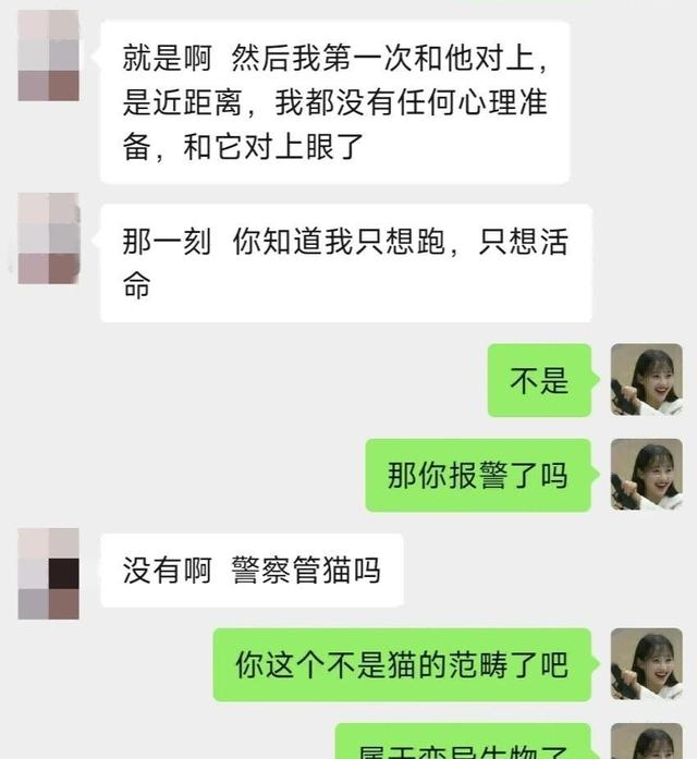 小姐姐家闯入一只巨大的白猫，她吓得转身就跑。有变异生物
