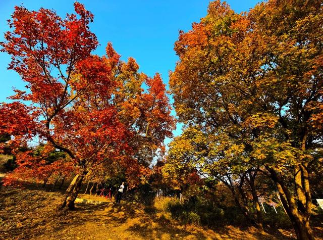 地理冷知识—北京模式口旅游