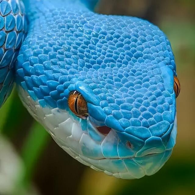 预测32亿，多亏了这些彩蛋（上）