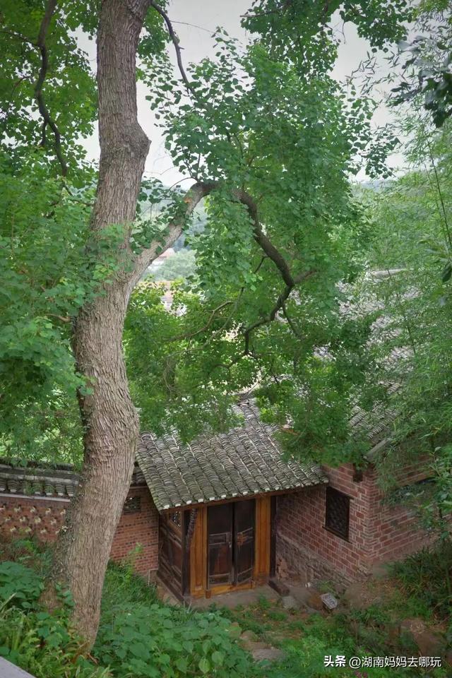 40℃高温？带娃躲进这两处深山秘境，把25℃的清凉和野趣全打包！